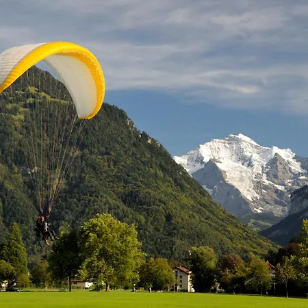 Tiny House Pop Up Des Alpes Lejlighed Interlaken