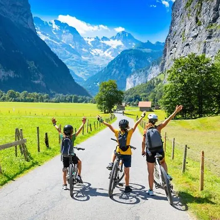 Lejlighed Tiny House Pop Up Des Alpes Interlaken